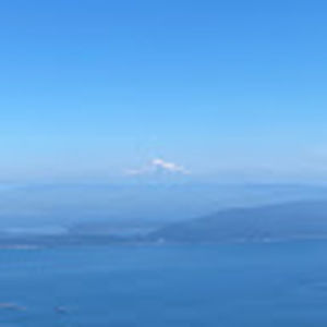 Meet your Posher, Henry